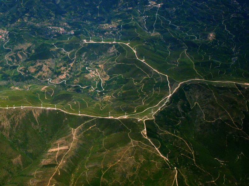 周末农夫<br>ljvwvuu.cn 阳台种菜指南
